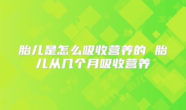 胎儿是怎么吸收营养的 胎儿从几个月吸收营养