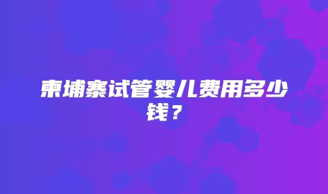柬埔寨试管婴儿费用多少钱？