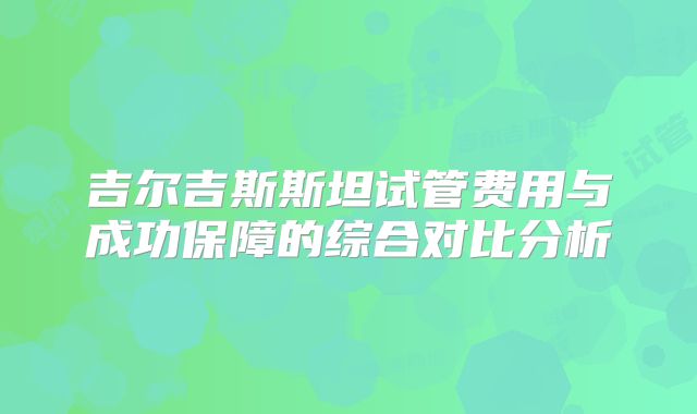 吉尔吉斯斯坦试管费用与成功保障的综合对比分析