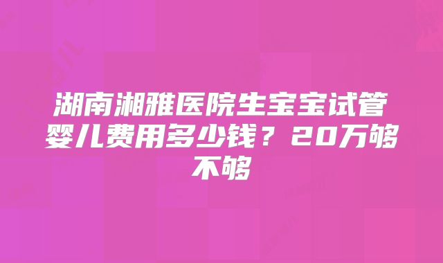 湖南湘雅医院生宝宝试管婴儿费用多少钱？20万够不够