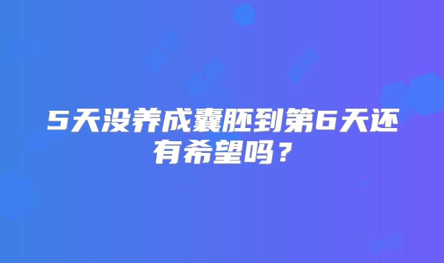 5天没养成囊胚到第6天还有希望吗？
