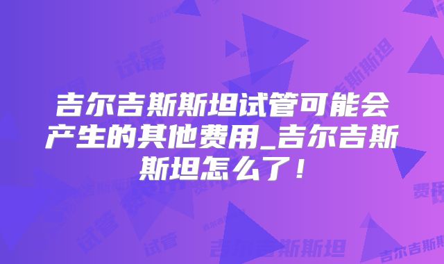 吉尔吉斯斯坦试管可能会产生的其他费用_吉尔吉斯斯坦怎么了！