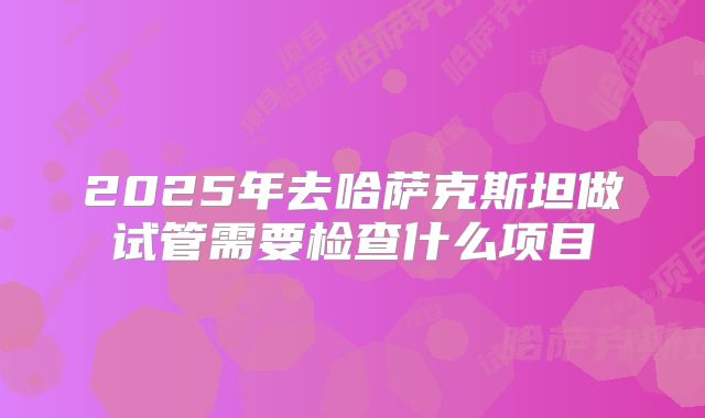 2025年去哈萨克斯坦做试管需要检查什么项目