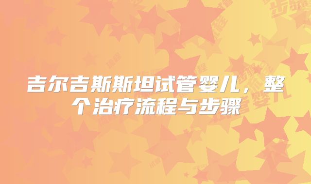 吉尔吉斯斯坦试管婴儿，整个治疗流程与步骤