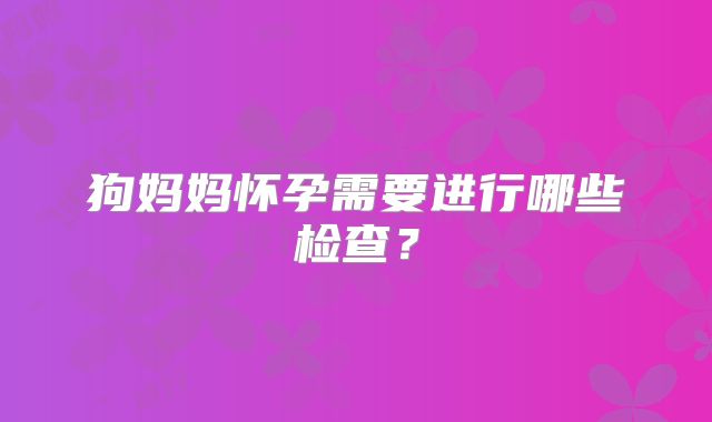 狗妈妈怀孕需要进行哪些检查？
