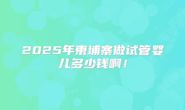 2025年柬埔寨做试管婴儿多少钱啊！