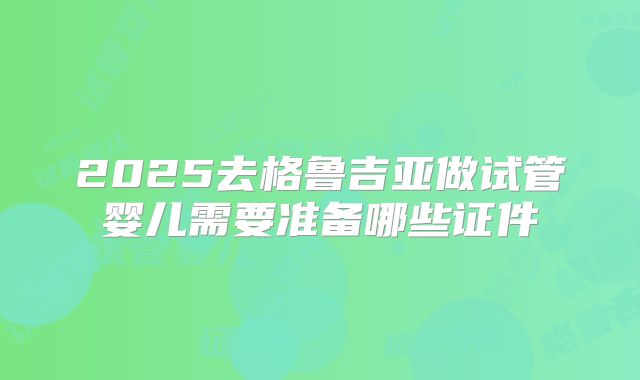 2025去格鲁吉亚做试管婴儿需要准备哪些证件