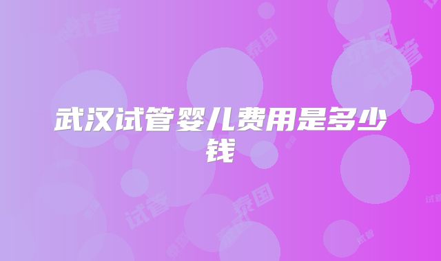 武汉试管婴儿费用是多少钱