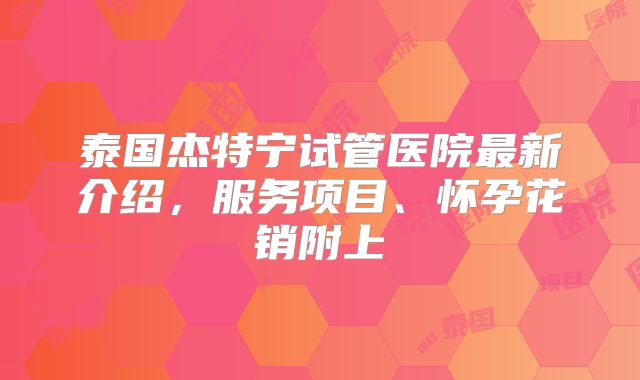 泰国杰特宁试管医院最新介绍，服务项目、怀孕花销附上