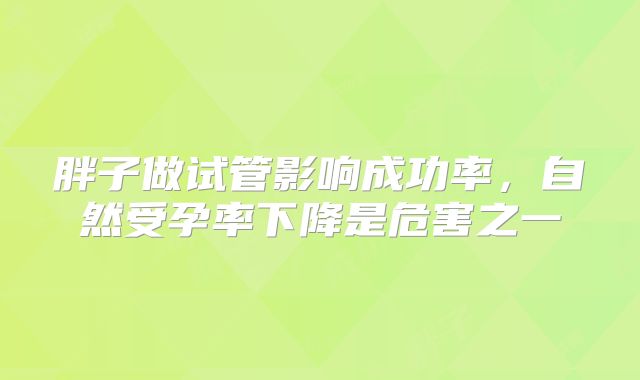 胖子做试管影响成功率,自然受孕率下降是危害之一