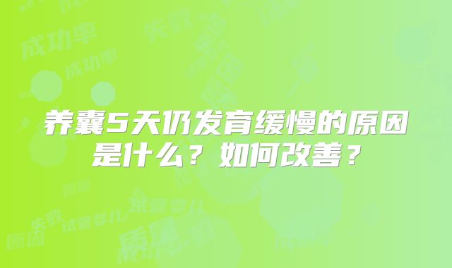 养囊5天仍发育缓慢的原因是什么?如何改善?