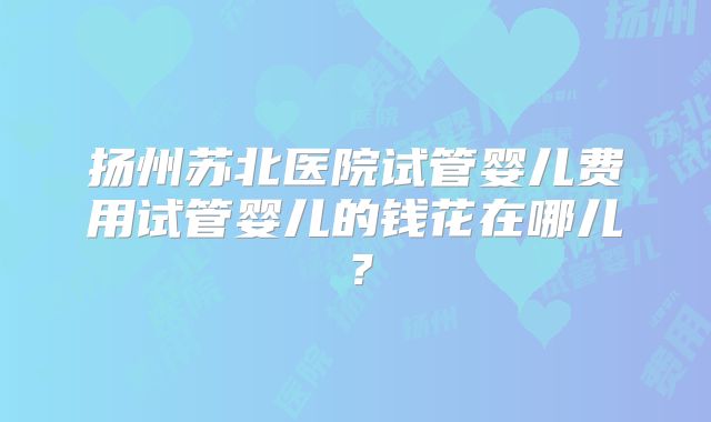 扬州苏北医院试管婴儿费用试管婴儿的钱花在哪儿?