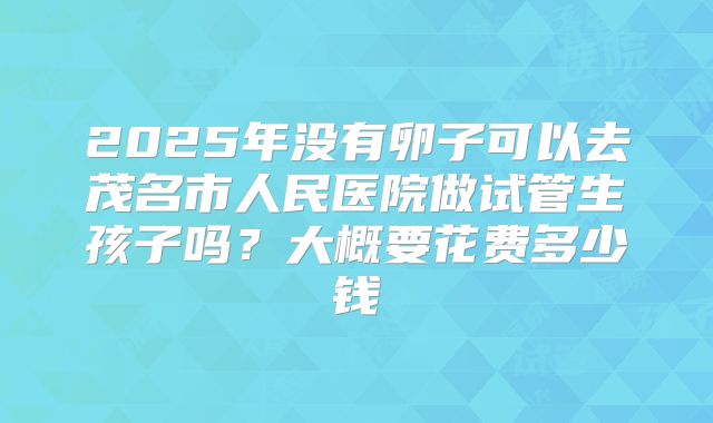2025年没有卵子可以去茂名市人民医院做试管生孩子吗?大概要花费多少钱