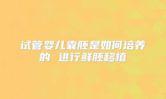 试管婴儿囊胚是如何培养的 进行鲜胚移植