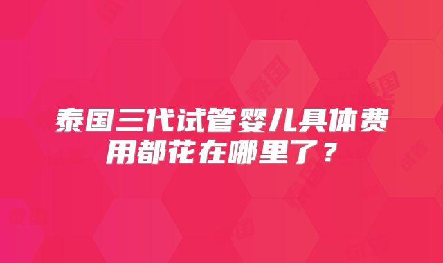 泰国三代试管婴儿具体费用都花在哪里了？