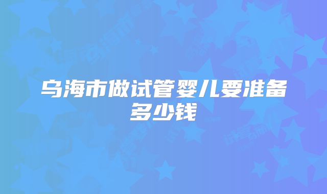 乌海市做试管婴儿要准备多少钱