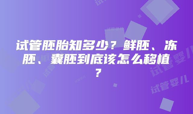 试管胚胎知多少？鲜胚、冻胚、囊胚到底该怎么移植？