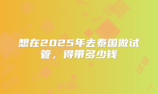 想在2025年去泰国做试管,得带多少钱