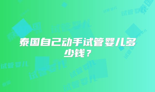 泰国自己动手试管婴儿多少钱？