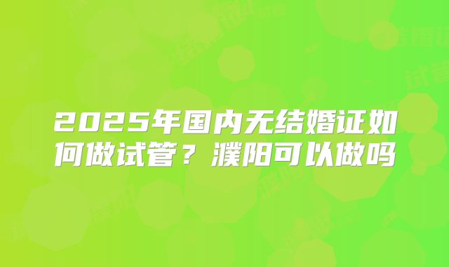 2025年国内无结婚证如何做试管？濮阳可以做吗