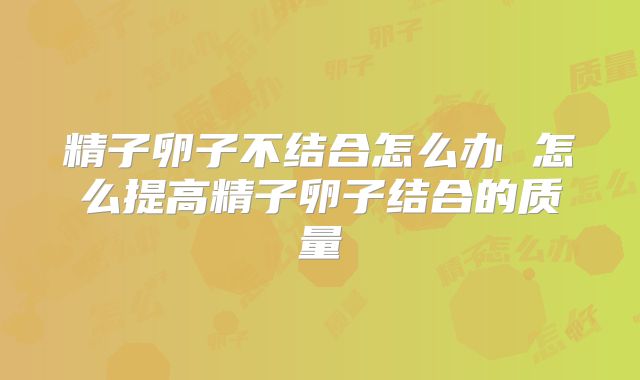 精子卵子不结合怎么办 怎么提高精子卵子结合的质量