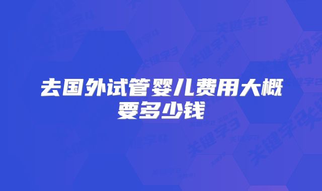 去国外试管婴儿费用大概要多少钱