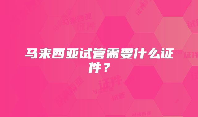 马来西亚试管需要什么证件?