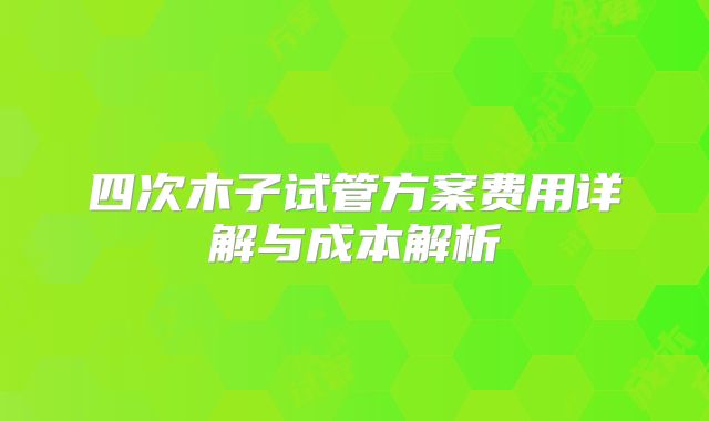 四次木子试管方案费用详解与成本解析
