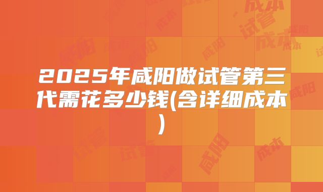 2025年咸阳做试管第三代需花多少钱(含详细成本)