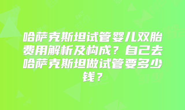 哈萨克斯坦试管婴儿双胎费用解析及构成？自己去哈萨克斯坦做试管要多少钱？
