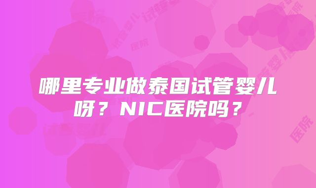 哪里专业做泰国试管婴儿呀?NIC医院吗?