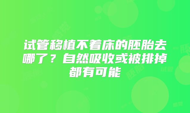 试管移植不着床的胚胎去哪了？自然吸收或被排掉都有可能