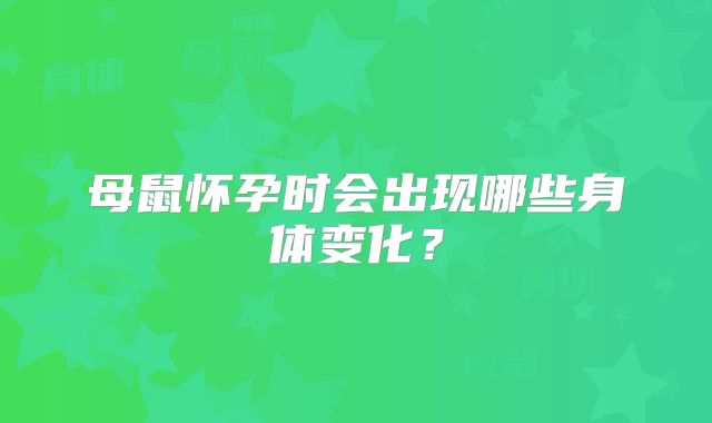 母鼠怀孕时会出现哪些身体变化？