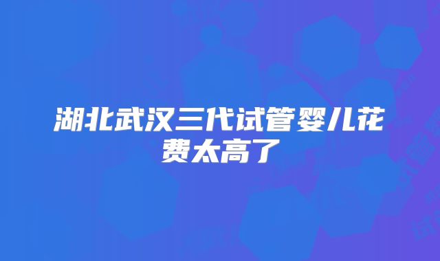 湖北武汉三代试管婴儿花费太高了