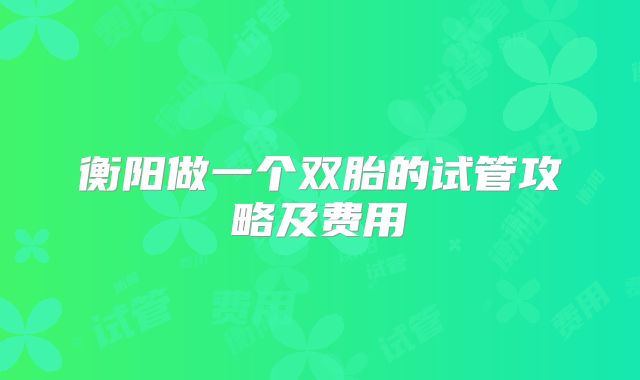 衡阳做一个双胎的试管攻略及费用