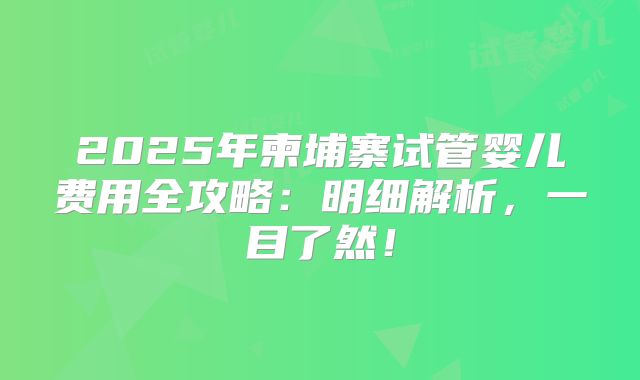 2025年柬埔寨试管婴儿费用全攻略:明细解析,一目了然!