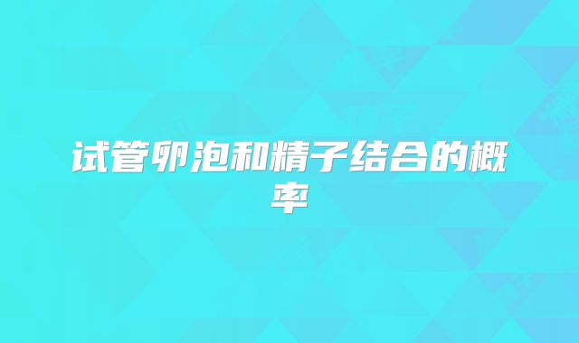 试管卵泡和精子结合的概率