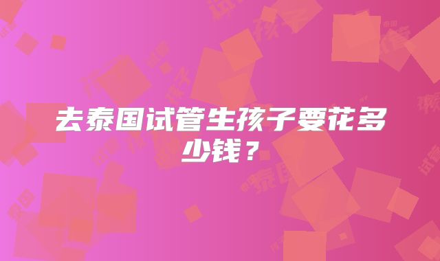 去泰国试管生孩子要花多少钱？