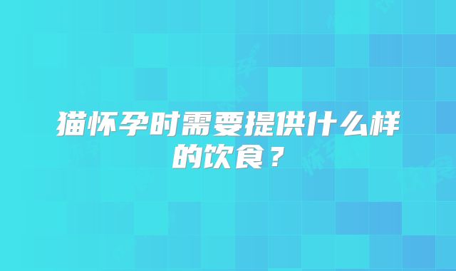 猫怀孕时需要提供什么样的饮食？