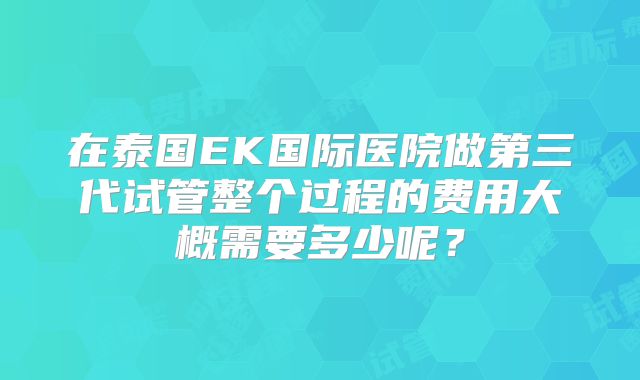 在泰国EK国际医院做第三代试管整个过程的费用大概需要多少呢？
