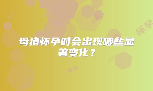 母猪怀孕时会出现哪些显著变化？