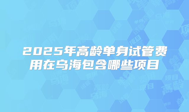 2025年高龄单身试管费用在乌海包含哪些项目
