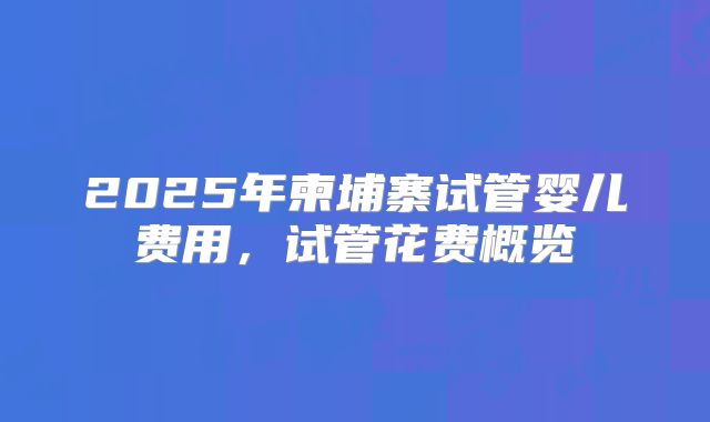 2025年柬埔寨试管婴儿费用，试管花费概览