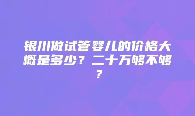 银川做试管婴儿的价格大概是多少？二十万够不够？