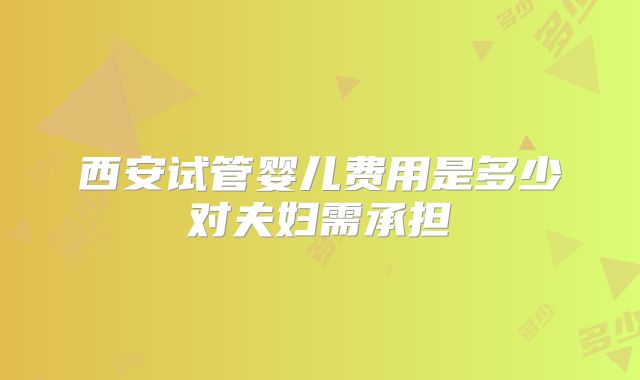 西安试管婴儿费用是多少对夫妇需承担
