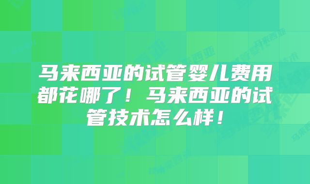 马来西亚的试管婴儿费用都花哪了!马来西亚的试管技术怎么样!