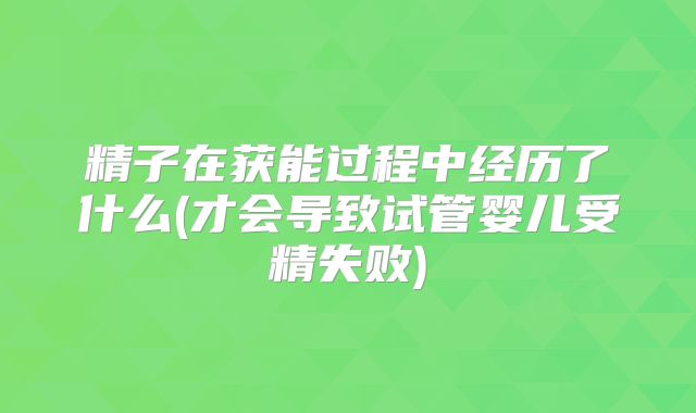 精子在获能过程中经历了什么(才会导致试管婴儿受精失败)