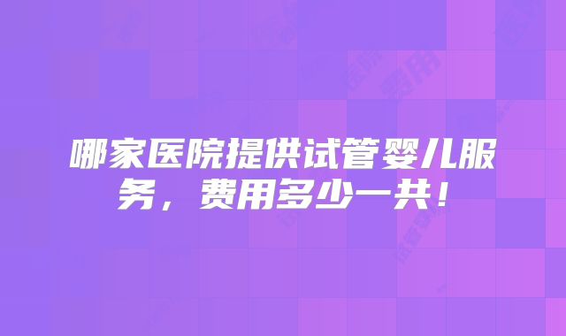 哪家医院提供试管婴儿服务，费用多少一共！