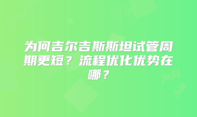 为何吉尔吉斯斯坦试管周期更短？流程优化优势在哪？