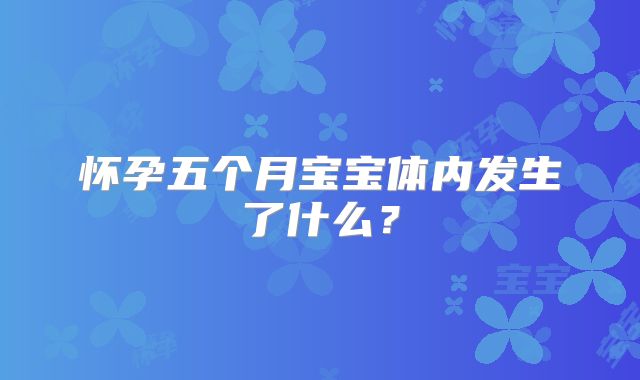 怀孕五个月宝宝体内发生了什么？